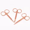 Professional Eyebrow Beauty Scissors Sharp Precision Stainless Steel Trim Eyebrow Scissors
