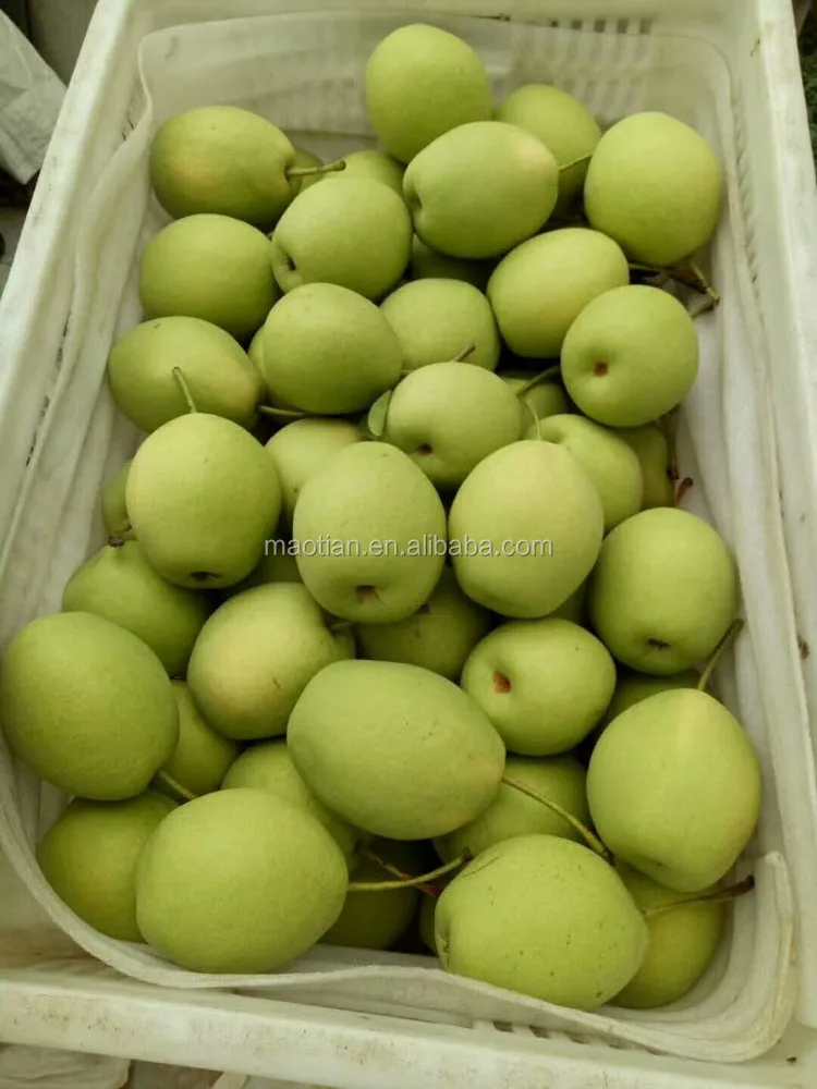 
Year 2017 Shandong Pears 