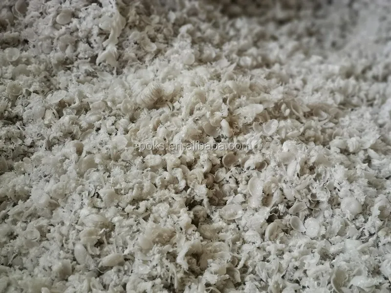 IMG_20190622_100052_