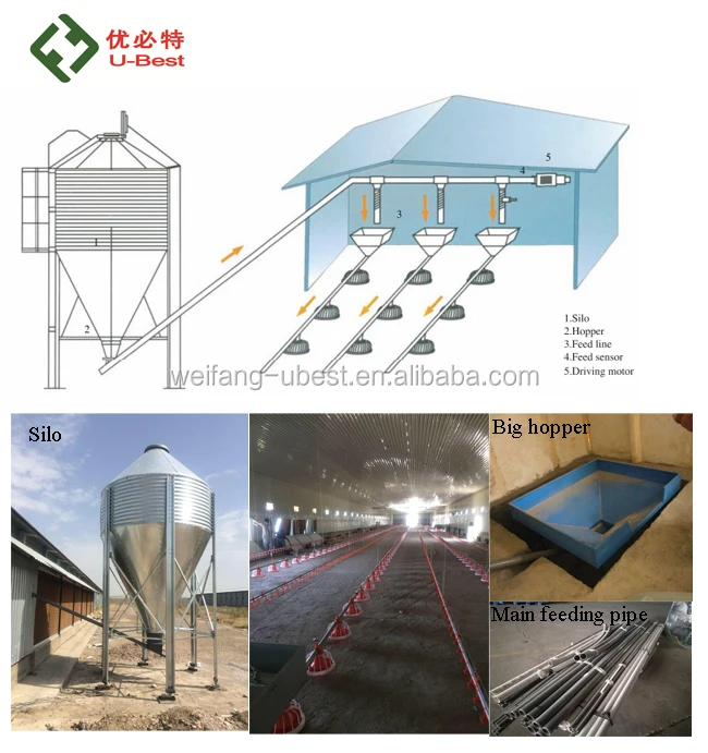 In Broiler Chicken Farm Second Hand Poultry Equipment For Sale Buy