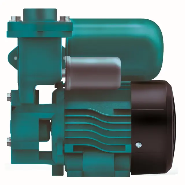 Leo Lksm Une Série Périphérique Auto Amorçantepompe à Eau Vortex 0125kw 035kw 055kw 075kw Buy Pompe à Eau Auto Amorçante Leopompe à Eau