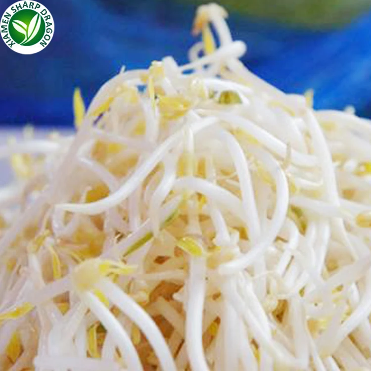 
IQF Greenhouse green frozen mung bean sprouts 