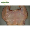Different kinds of frozen whole fresh chicken quarter legs /feet and paws /griller /wing /price upper back for sale