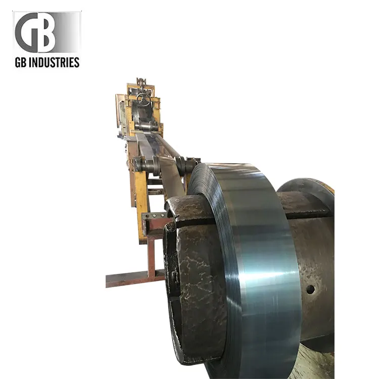 Carbon Steel Strip.jpg