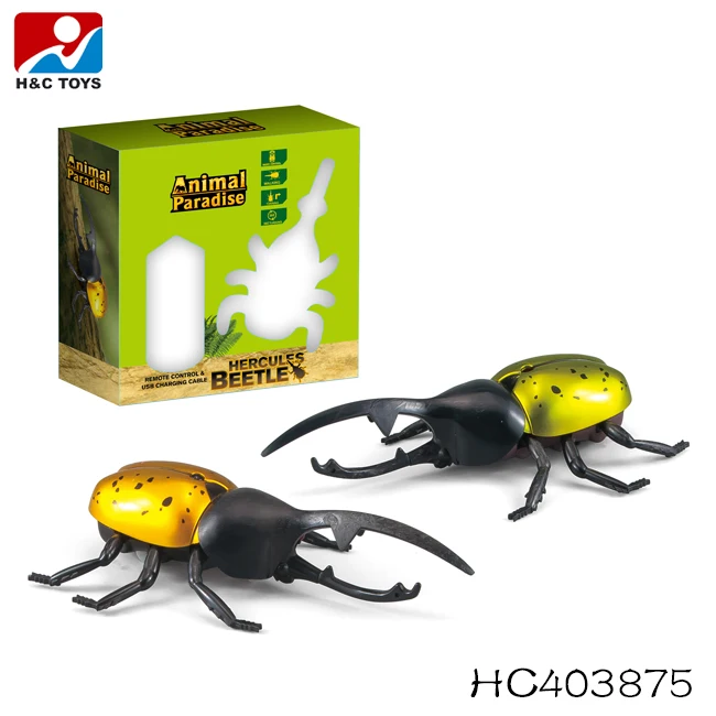 beetle toys