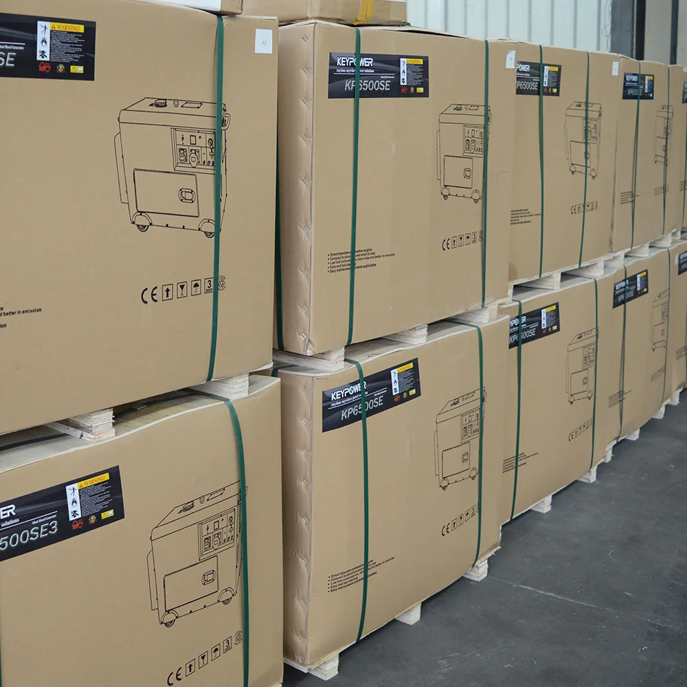 portable generator (8)