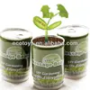 Message bean, Tin plant, cans flower