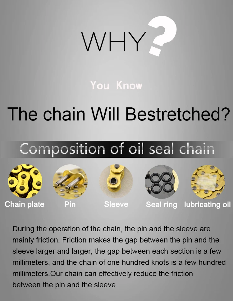 motorcycle chain (12)