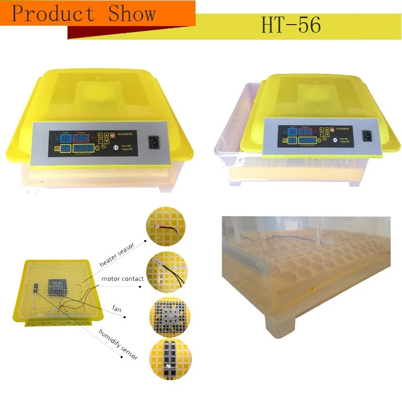 Surprisingly Low Price Mini Poultry Egg Incubator ...