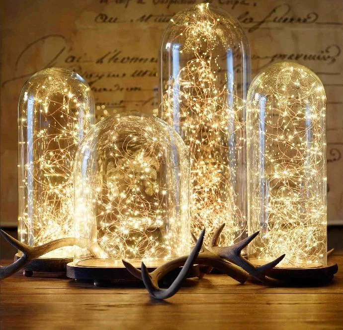 Factory Direct Sales Glass Cloche Glass Bell Jar With String Lights Led - Buy Cloche Glass With ...
