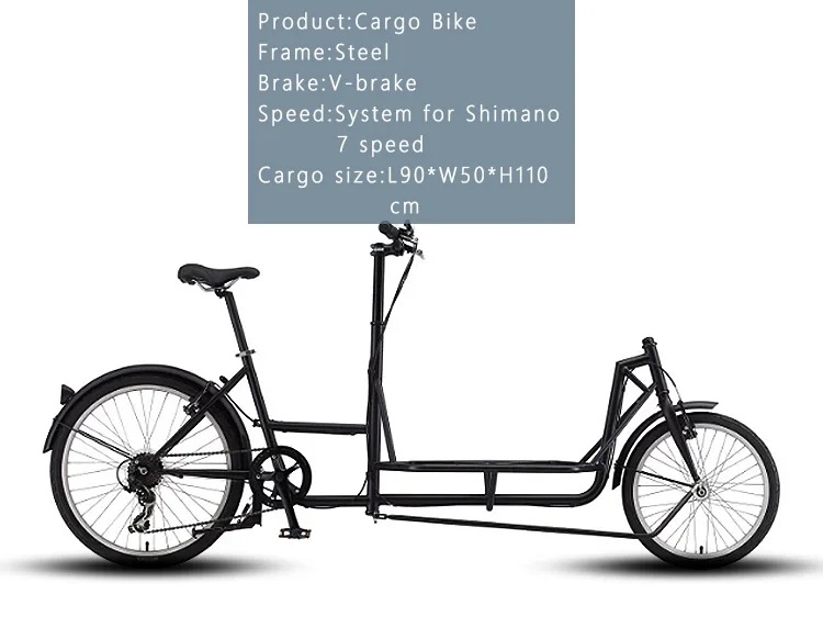 cargo bike 2 wheel