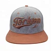 Custom Fashion Korean 3d embroidery snapback hat