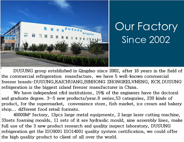 Dusung Refrigeration-2