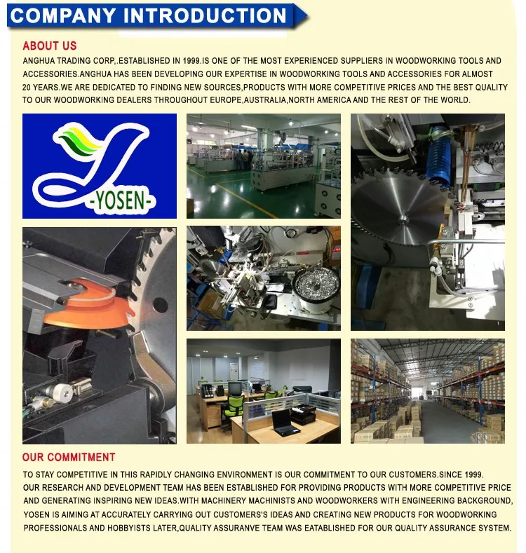 company introduction