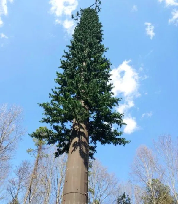 bionic landscape deodar cedar tree tower chian manufacturer for