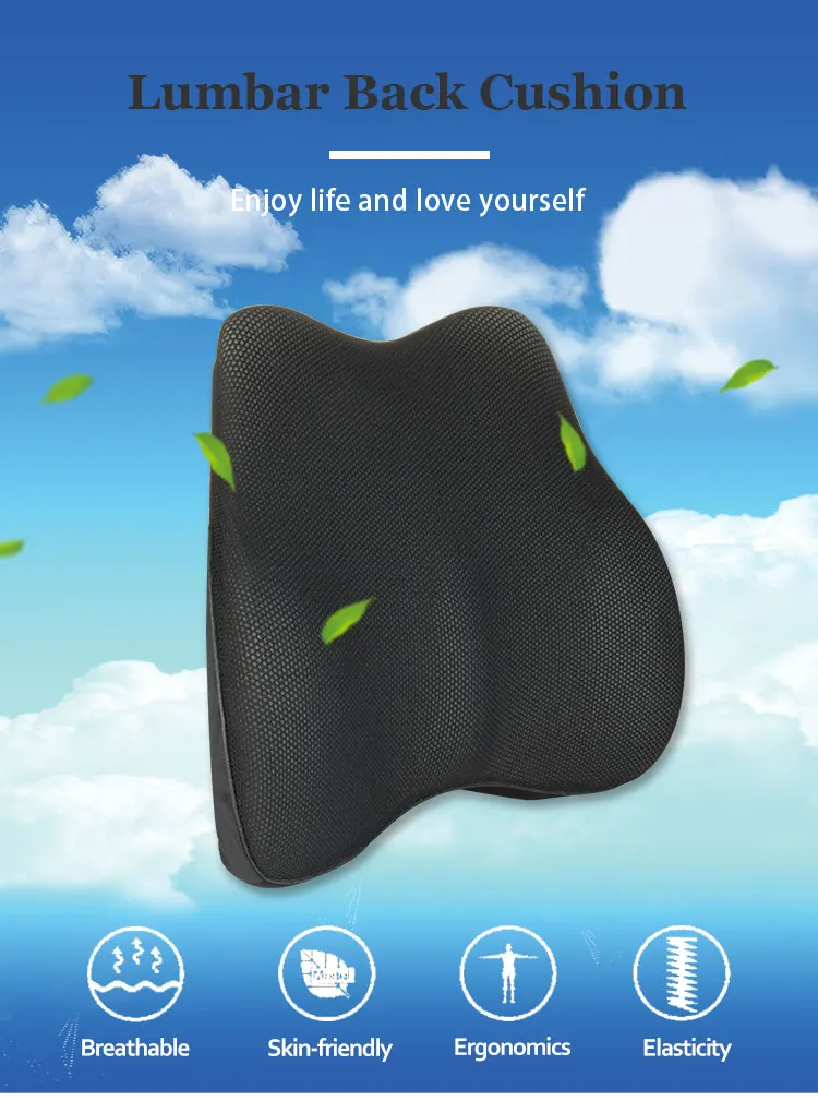 lumbar pillow (1).jpg