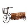 Hot sell Garden wrought iron bicycle flower rack indoor swing tricycle home table literature wooden flower pot rack