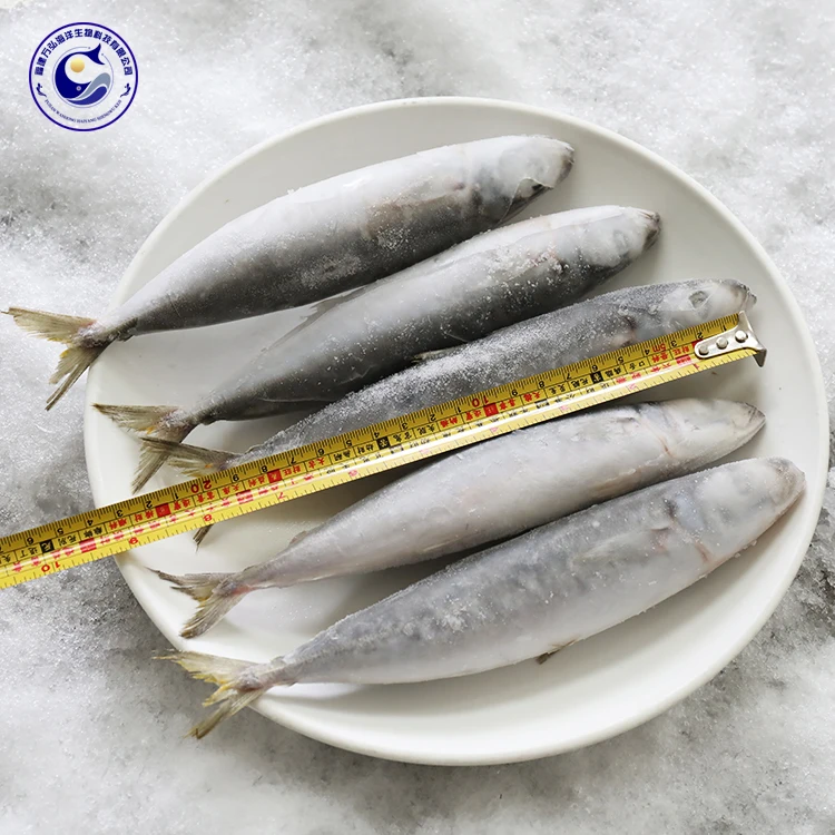 Chinese Fresh Namibia Horse Mackerel Carapau Price Fish Mackerel Buy