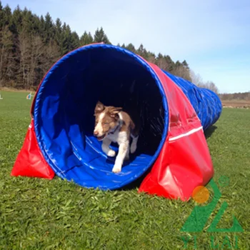 agility training tunnel for dogs