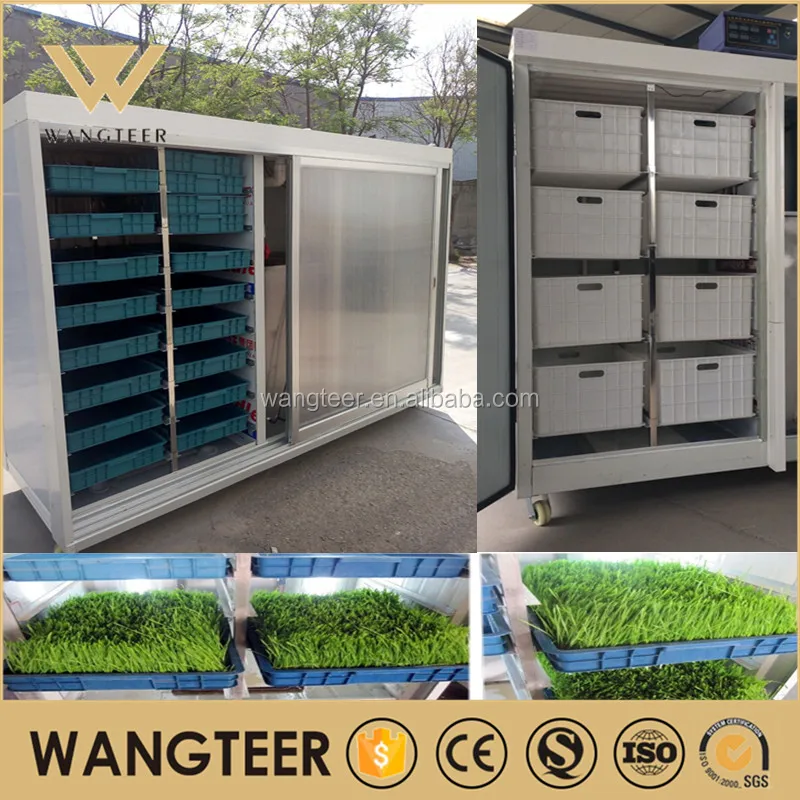 Bean Sprout Growing Machine 