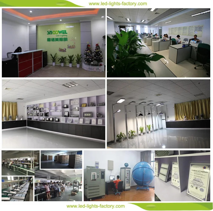 SNOOWEL COMPANY.jpg