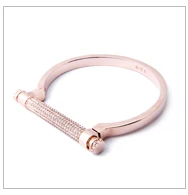 Heart and Waterdrop Design Bangle Sterling Silver Zircon Bracelet