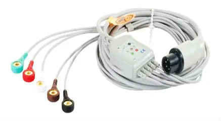 ECG