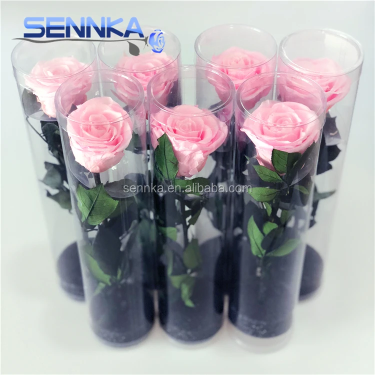 
Fresh Produce Mexico Long Stem Pink Flowers Real Touch Rose Flowers 