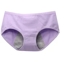 

Pocket Cotton Menstrual Period Cycle Panties Leakproof Woman Underwear Wholesale