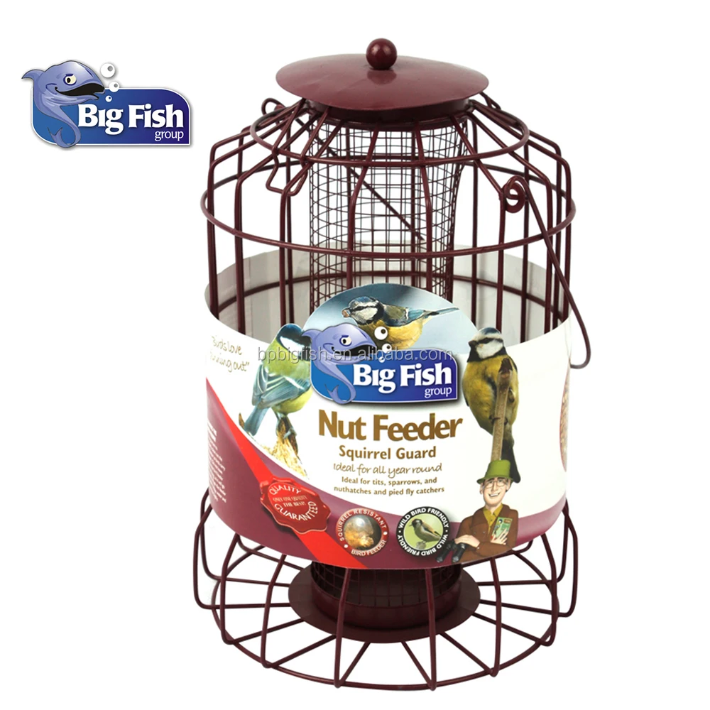 Traditional Nut Squirrel Guard Proof Fancy Bird Feeders Buy