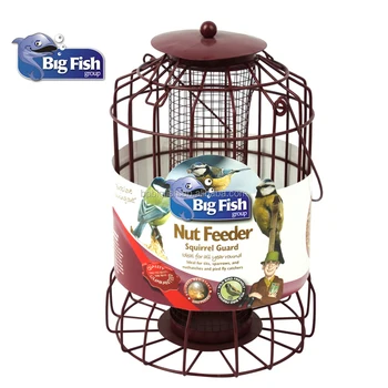 Traditional Nut Squirrel Guard Proof Fancy Bird Feeders Buy Fancy