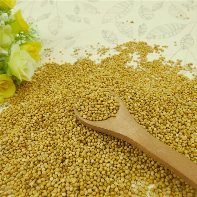 whole grain millet