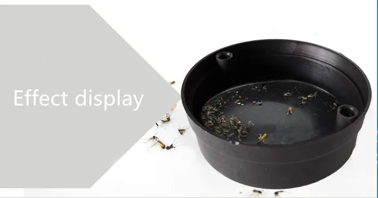 3513202123_715888719