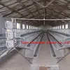 Latest Poultry Farm Design Let Our Experts Give You The Best Advise