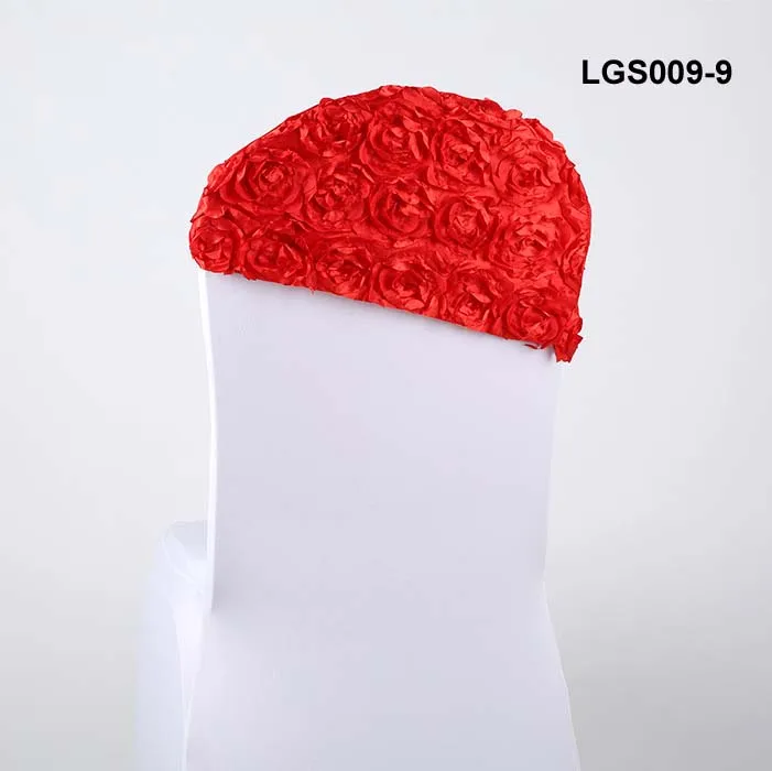 LGS009-9.jpg