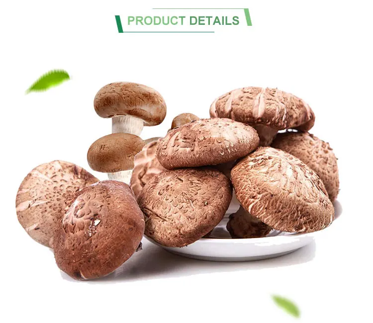 Fresh Shiitake Mushroom Whole For Sale Buy Chinese Shiitake Mushrooms
