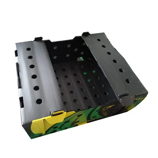 Pp Corrugated Plastic Vegetable Packaging Box Buy Vegetable Packaging