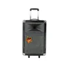 Black Portable Speaker Audio Player Speaker Trolley Karaoke Speaker with Subwoofer For Outdoor