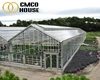 China agricultural greenhouse used sale