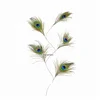Leading Feather Crafts Manufacturer Customized Lower Price Peacock Stem High Quality Feather Picks