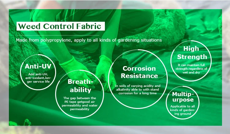 90gsm black PP woven plastic weed mat for agriculture ground cover products