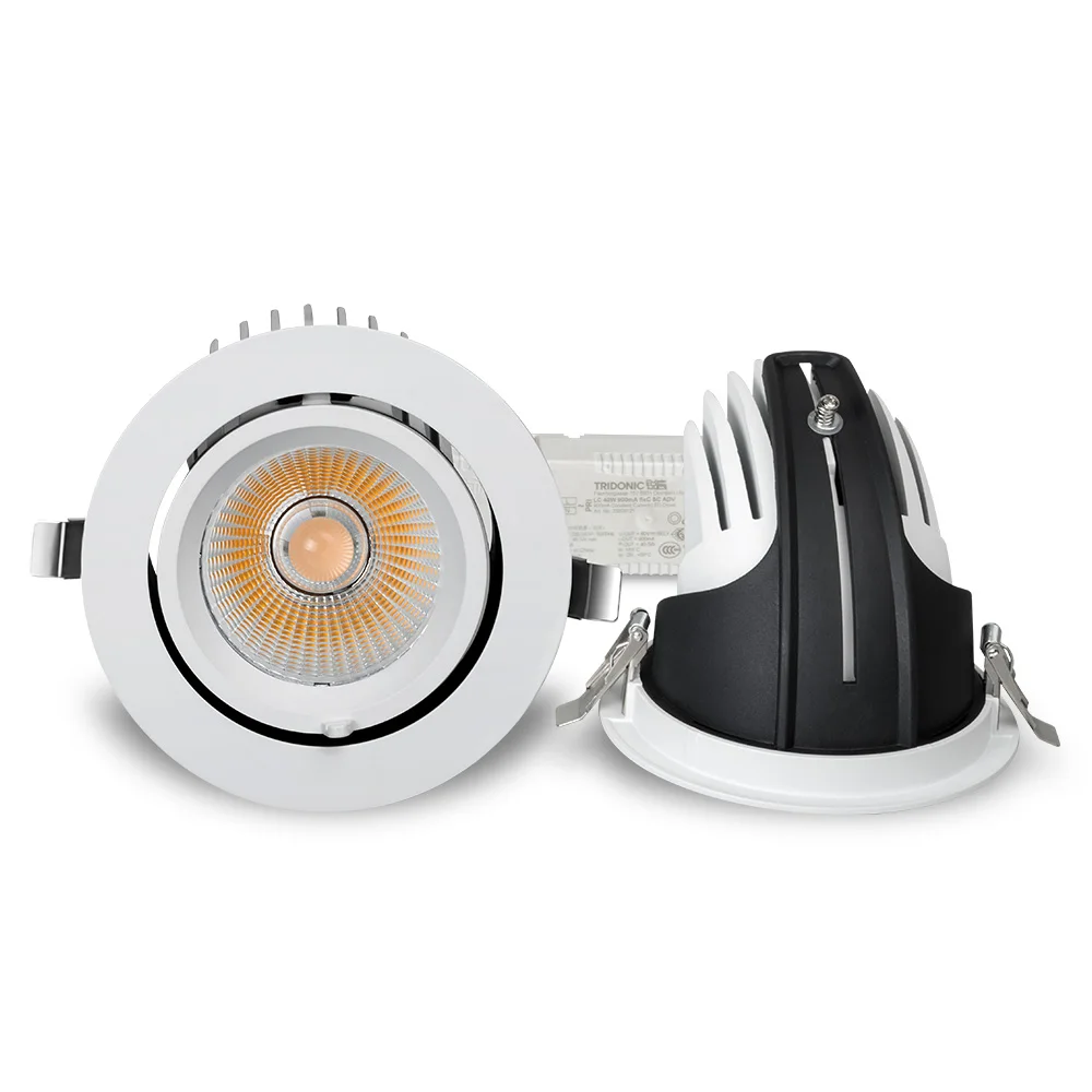 NEW product 360 degree adjustable 20w gimbal LED downlight for Public lighting