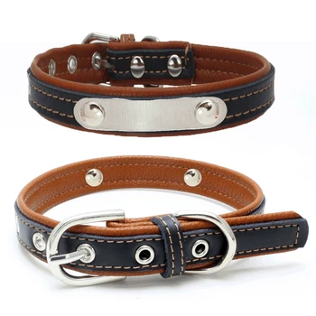 custom pet collars