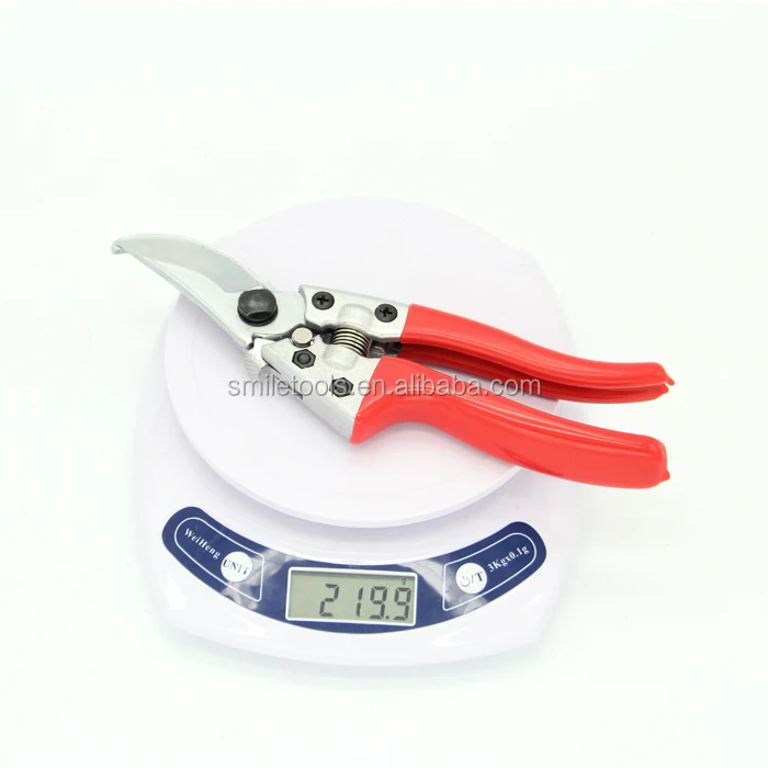pruning shear (1).JPG
