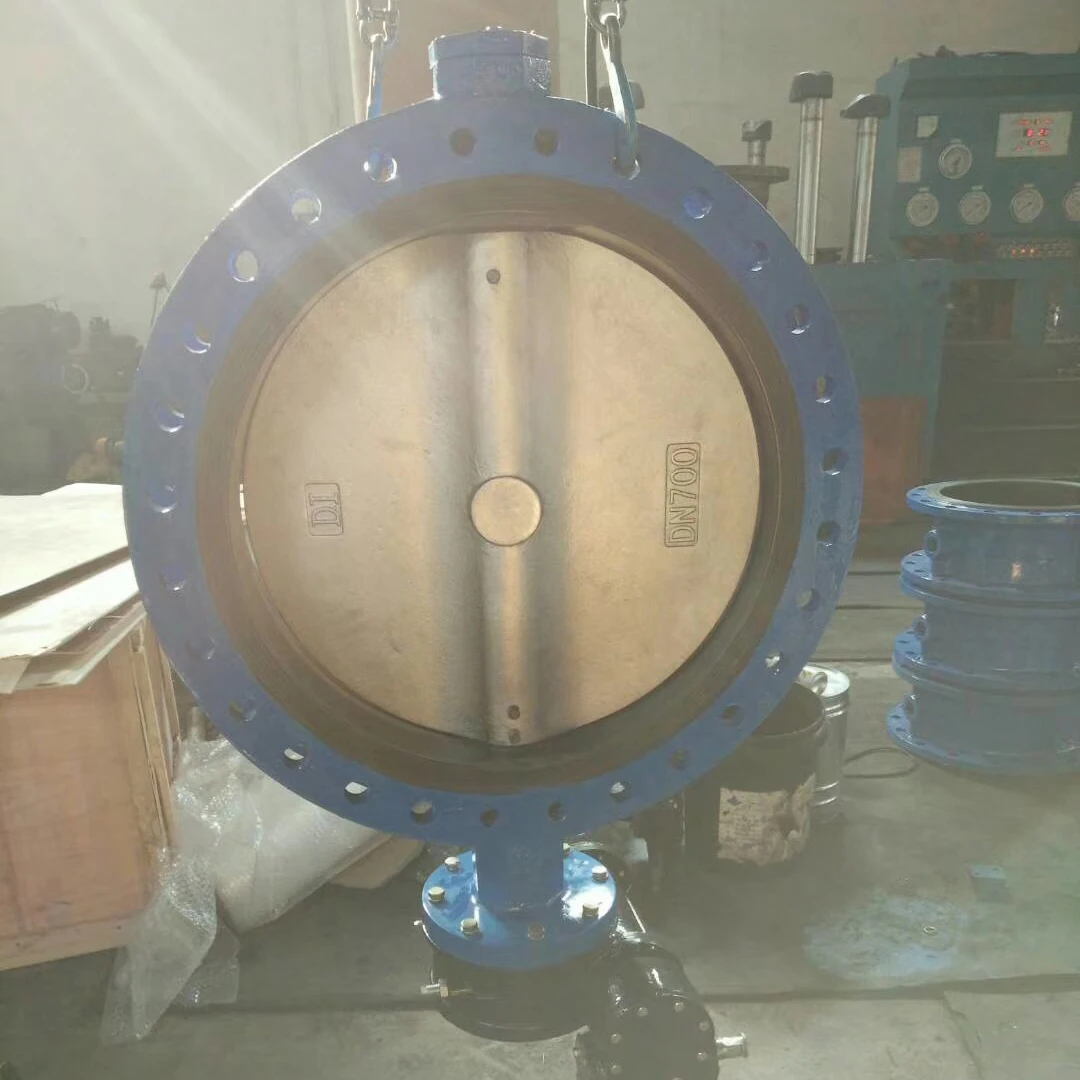 Large Size Dn700 Dn800 Dn900 High Performance Flange Butterfly Valve ...