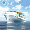 Professional China shipping agent to India
