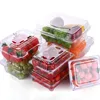 Eco-friendly clear plastic blueberry/strawberry/cherry air holes fruit packaging box/container