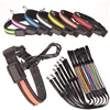 Solar Charge Power and Collar LED Dog Leash