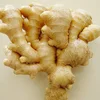 Organic fresh ginger peru/air dry ginger for sale