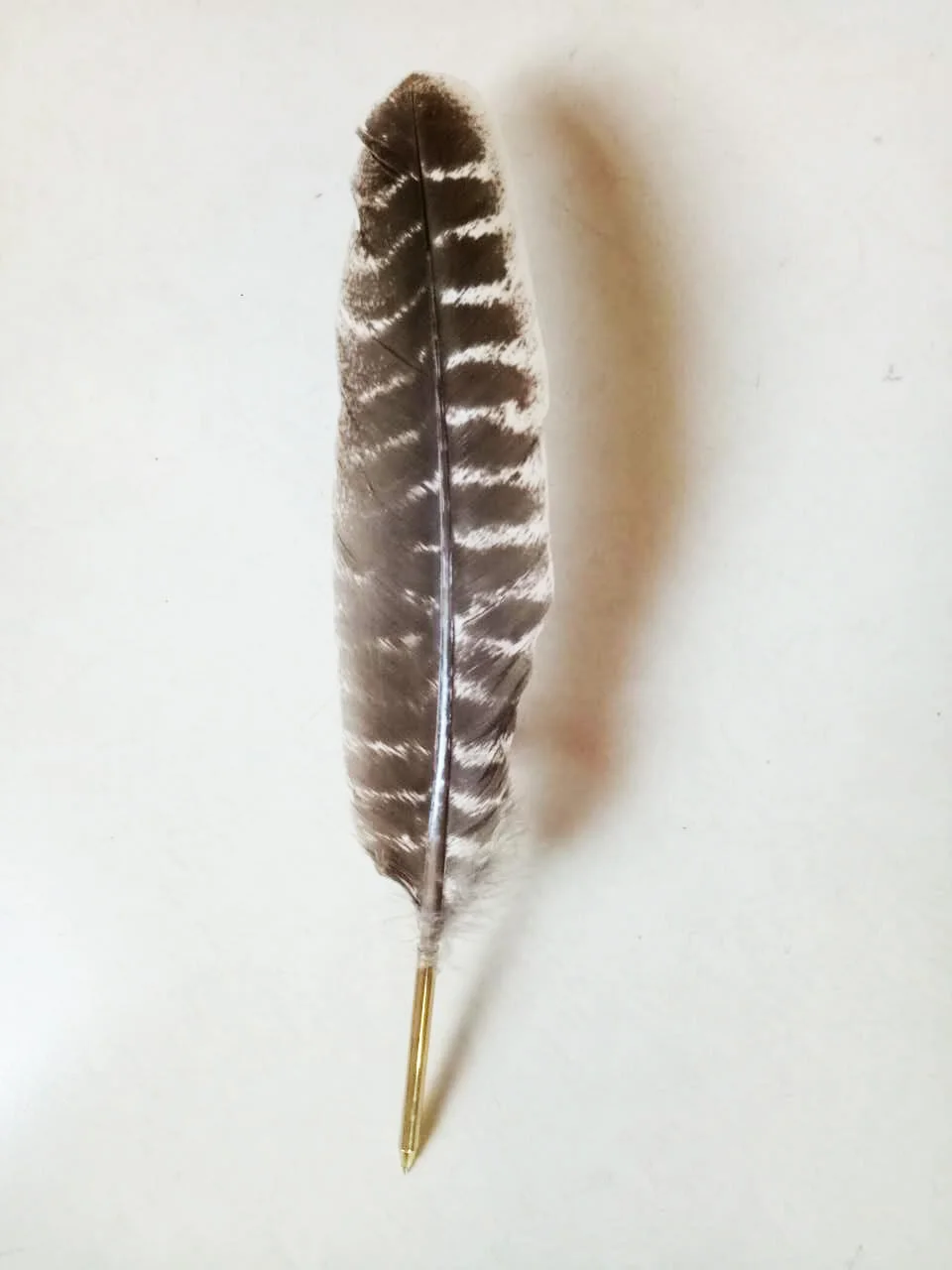 Excellent Natural Turkey Quills Copper Ball Point Pen - Buy Turkey ...